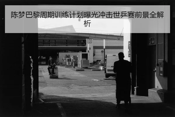 陈梦巴黎周期训练计划曝光冲击世乒赛前景全解析